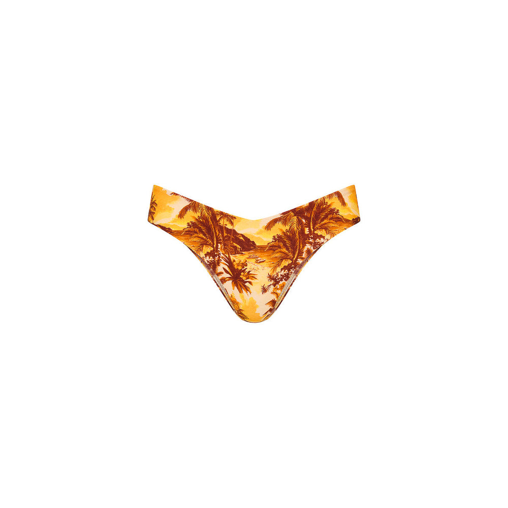 Cheeky V Bikini Bottom - Vintage Vacay
