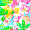 Summer Daydreams