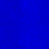 Blue Lagoon