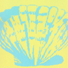 Sunshell